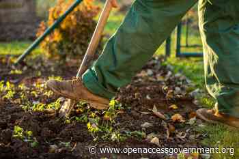 Providing Food: The answer lies in the soil feeding the world - Open Access Government