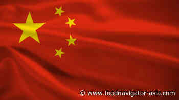 China Focus: Novel food innovation vs regulation, Angel Yeast expansion, palm oil exports and more feature in our round-up - FoodNavigator-Asia.com