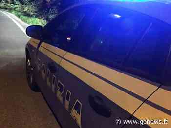 Titolare e cliente aggrediti di notte a Prato, due arresti - gonews.it - gonews