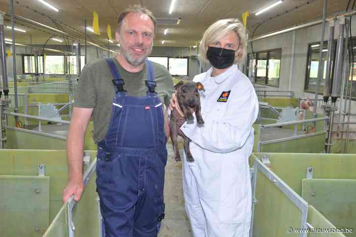 Twee Kruisemse ondernemers door Vlaams minister Hilde Crevits beloond met label “Lekker van bij ons”