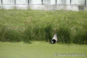 Ondernemers en Delfland halen 100% score UO-rapportage - Vakblad voor de Bloemisterij