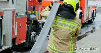 Vrouw 'vergeet' verpakking van vlees te halen voor het bakken: dame even naar ziekenhuis - Het Laatste Nieuws