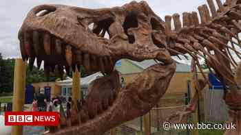 Suez Canal: T. rex stuck on Ever Given arrives at golf course