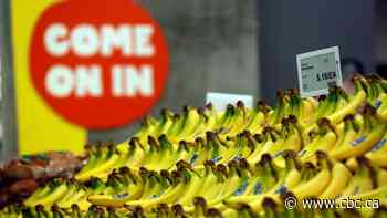 Inflation rate spikes to highest level in a decade, at 3.7% in July