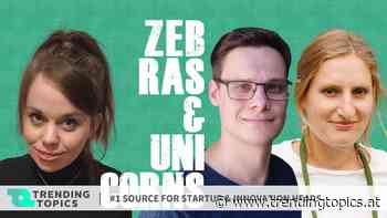 Wie smarte Architektur die Hitze in Städten zurückdrängen kann - Trending Topics