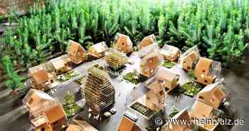 Gleich auf den Mond? Die Architektur-Biennale in Venedig - Architektur - Rheinpfalz.de