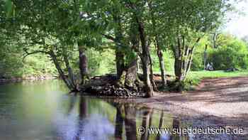 Grüne räumen auf - Süddeutsche Zeitung