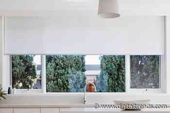 The best motorized blinds for 2021