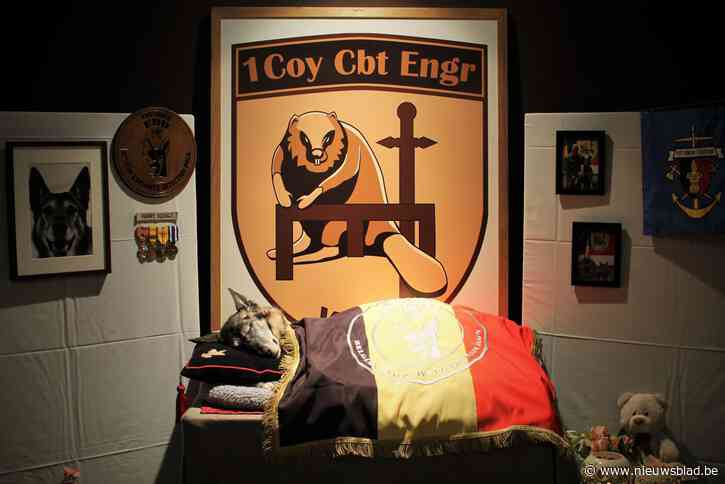 Beeld van opgebaarde explosievenhond ontroert meer dan duizend mensen