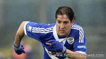 UFFICIALE: Franciacorta, arriva l'ex Modena e Brescia Felipe Sodinha - TUTTO mercato WEB