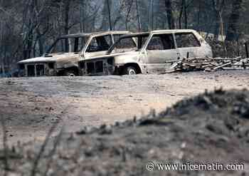 L'Etat aidera les entreprises sinistrées par l'incendie monstre dans le Var, assure Elisabeth Borne