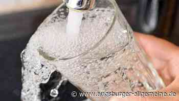 "Unser Wasser" im Kreis Neu-Ulm: Das sind alle Folgen unserer Sommerserie - Augsburger Allgemeine