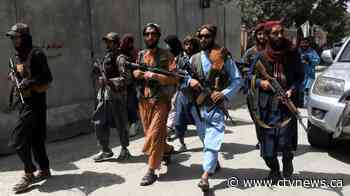 'No hope left': Afghans in Canada who lived under Taliban say regime can't be trusted