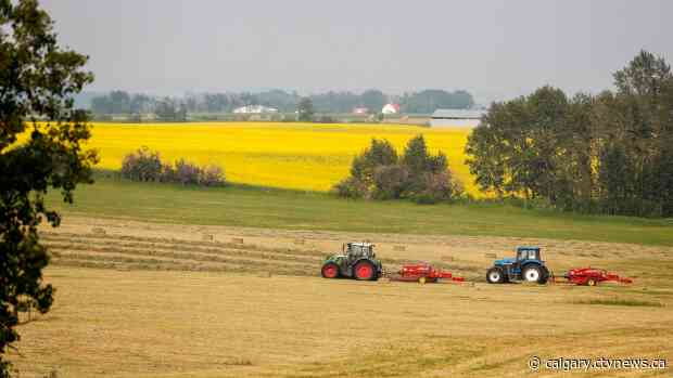 Maritime farmers ship hay to drought-stricken prairies as ranchers run out of feed