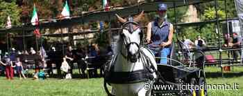 Sagra di San Fermo ad Albiate in tono minore: «Meno 40% di presenze» - Il Cittadino di Monza e Brianza