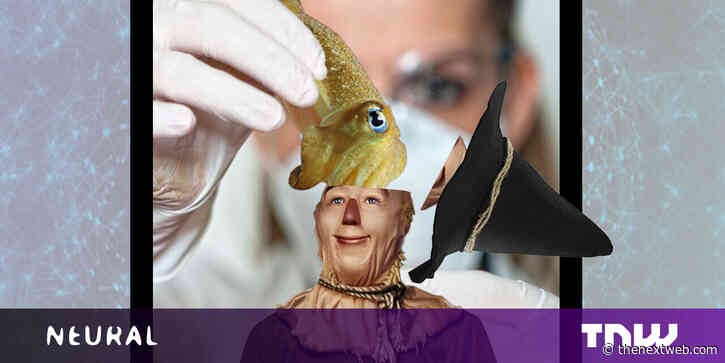 If AI only had a brain: Is the human mind the best model to copy?