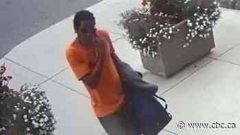 Toronto police release photo of driver allegedly involved in bus shelter crash that injured senior