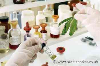 MS patients 'denied' approved cannabis treatment – charity - St Helens Star