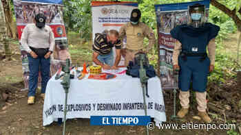 Cuatro áreas libres de minas anti personas en los Montes de María - El Tiempo
