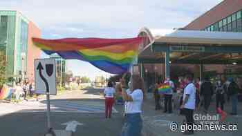 Celebrate Calgary Pride with online and in-person events