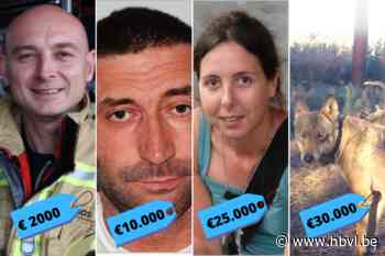 Waarom beloning voor gouden tip slechts zelden tot doorbraak leidt - Het Belang van Limburg