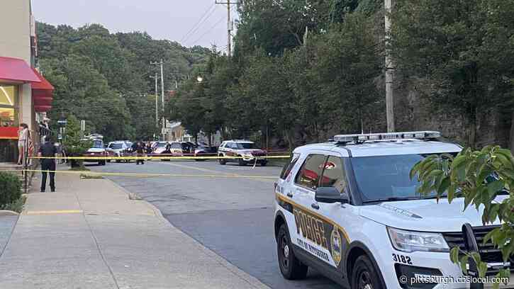 Man Dies Nearly 2 Weeks After Falling Over Hillside During Police Chase In Brighton Heights