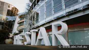 Star and Treasury Wine lose revenue over COVID and China, while ASX 200 follows Wall Street down