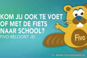 FIVO beloont ook leerlingen Zonnekesschool (Hemiksem) - Het Nieuwsblad