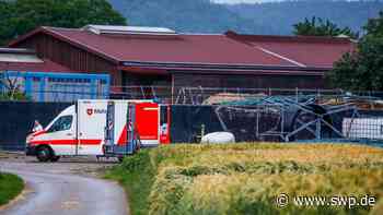 Heuballen trifft Jungen bei Bad Boll: Neunjähriger schwebt in Lebensgefahr - SWP