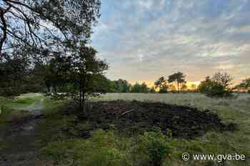 Tweede brand op Kalmthoutse Heide in amper week tijd: oorzaak wordt nog onderzocht - Gazet van Antwerpen
