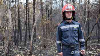 Waldbrandgefahr - Steinfeld ist Hotspot für Brände - NÖN.at