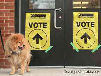 Here are the Calgary candidates running in the 2021 federal election - Calgary Herald