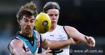 Scott Lycett a confirmed starter, but Power lose Orazio Fantasia for Dogs clash - AFL