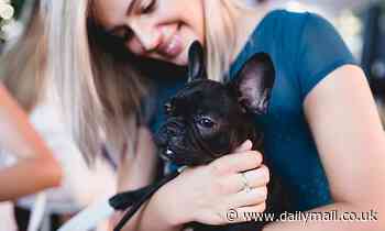 Students that pet, cuddle dogs have improved well-being and are less stressed, study finds