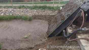 Economics of Blowing Soil - Lethbridge News Now