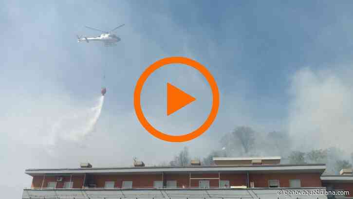 Incendio sulle alture di Voltri, vicino a case e autostrada - GenovaQuotidiana