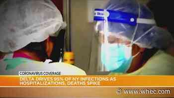 Delta variant drives 95% of NY infection as hospitalizations, deaths spike
