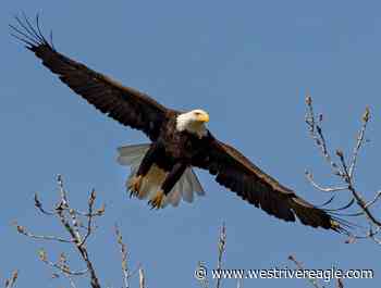 Fall of Afghanistan touches close to home - westrivereagle.com