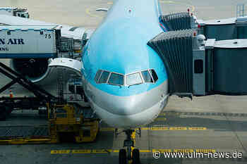 Von Ulm in die Welt: Das sind die Möglichkeiten