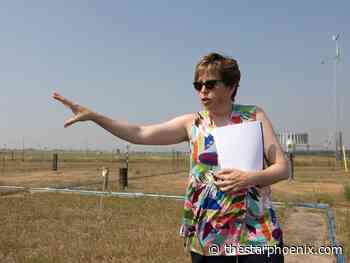 Eye on the sky: Inside Terri Lang's world of weather