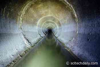 Dosing the Coast: Leaky Sewer Pipes Are Medicating the Chesapeake Bay