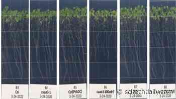 Intriguing Science Experiments Launching on SpaceX’s Cargo Resupply Mission to the Space Station