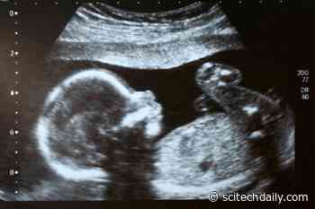 New Evidence Uncovered That Fetal Membranes Can Repair Themselves After Injury