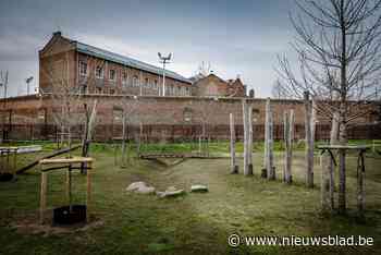 Twee jaar cel voor gooien van drugs over gevangenismuur