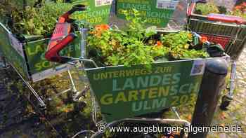 Schülerkunstwettbewerb zur Ulmer Landesgartenschau wird verlängert