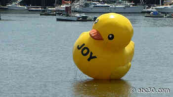 Giant rubber duck suddenly appears in Maine harbor, an unsolved mystery loved by locals