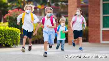 Palm Beach County Joins Broward, Miami-Dade in Implementing Mask Mandate