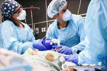 What to Watch as Florida COVID-19 Hospitalizations Reach Record Levels