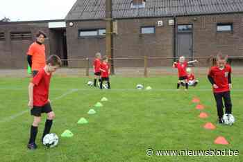 Voetbalclubs slaan handen in elkaar voor zomerstage bij KSK Kasterlee