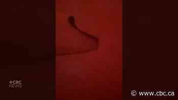 'We thought we were going down': Passenger recalls terror of flight through thick wildfire smoke